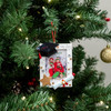 Kurt Adler Resin Ornament for Christmas Tree, Graduation Picture Frame
