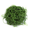 SuperMoss Preserved Spanish Moss, 2oz