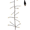 Kurt Adler Indoor USB 180-Light LED Cluster Fairy Light Set, 6ft