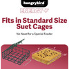 Hungrybird Energy+ No-Melt, High-Protein Suet Cake with Cranberry Filling