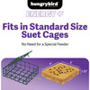 Hungrybird Energy+ No-Melt, High-Protein Suet Cake with Berry Filling for Outside Wild Bird Feeders