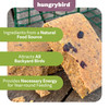Hungrybird NaturAll Non-GMO, High-Protein Berry Suet Cake for Wild Bird Feeders