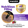 Hungrybird Energy+ High-Protein Suet Bar with Blended Berry Filling for Outside Wild Birds