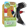 Hungrybird NaturAll Non-GMO, High-Protein Suet Bar with Peanut Butter Filling