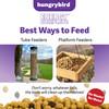 Hungrybird Energy Complete, 3lb - High-Protein Blended Berry Suet Bites for Outside Wild Bird