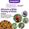 Hungrybird Energy Complete Diet, 7lb - All-Season Blended Berry Suet & Mixed Nut Blend for Wild Birds