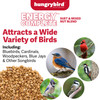 Hungrybird Energy Complete Diet, 7lb - All-Season Mealworm Suet & Mixed Nut Blend for Wild Birds