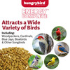 Hungrybird Energy Complete, 3lb - High-Protein Mealworm Suet Bites for Outside Wild Birds