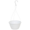 The HC Companies Euro Swirl Hanging Basket, 10in