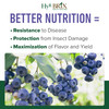 HyR BRIX Slow-Release 6-8-9 Fruit & Berry Fertilizer