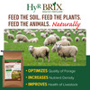 HyR BRIX All Natural & Organic 2-1-8 Pasture Fertilizer, 45lb Bag (Covers 4,000 Sq Ft)