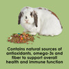 Kaytee Fiesta Rabbit Food Mix, 25lbs – Supports Immune Health and Digestion