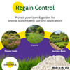 St. Gabriel Organics Milky Spore Japanese Beetle Grub Killer Powder