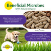 St. Gabriel Organics Milky Spore Japanese Beetle Grub Killer Powder