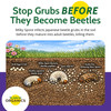 St. Gabriel Organics Milky Spore Japanese Beetle Grub Killer Granules, 15lbs