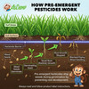 AgChimp 18-0-9 Prodiamine Pre-Emergent Herbicide Plus Turf Fertilizer, 15lbs