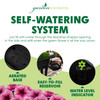 Garden Elements Elevated Self-Watering Garden Bed with Ventilated Grow Dome, Black, 29.5in x 15in