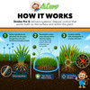 AgChimp Strobe+ G Broad-Spectrum Dual-Action Granular Lawn Fungicide, 15lbs