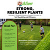 AgChimp 5-0-20 with 2% Iron Professional Turf Fertilizer, 16lbs