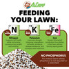 AgChimp 5-0-20 with 2% Iron Professional Turf Fertilizer, 16lbs