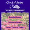 Coast of Maine Organic & Natural Fertilizer for Roses & Flowers