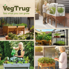 VegTrug Classic Raised Bed Cedar Wood Planter with Segmented Design, Natural, Medium 1.8m