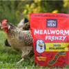 Happy Hen Treats Mealworm Frenzy - 100% Natural Dried Mealworms - High-Protein Poultry Snack