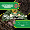 FoxFarm Peace of Mind Houseplant Mix, Ready-to-Use Potting Soil, 12qt