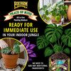 FoxFarm Peace of Mind Houseplant Mix, Ready-to-Use Potting Soil, 12qt