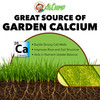AgChimp PunchCa RTU Lawn Calcium Supplement & Conditioner for Compact Soil, 1qt