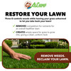 AgChimp Three-D Selective Broadleaf Herbicide for Lawns and Turf, 1 pint