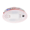 Kurt Adler Rudolph the Red-Nosed Reindeer USB LED Lantern, 10in