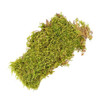 Mosser Lee Natural Green Sheet Moss for Container Gardening and Crafting, 325 sq in