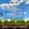 Milorganite All-Purpose Eco-Friendly Slow-Release Nitrogen 6-4-0 Fertilizer, 5 Pound Bag - for Lawns, Flowers and Gardens