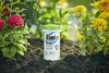 RoundUp Precision Gel Weed & Grass Killer