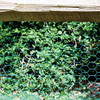 Garden Zone Poultry Netting 24 X 25' Steel Green Vinyl Coated