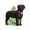 Old World Christmas Glass Blown Ornament for Christmas Tree, Standing Black Lab