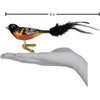 Old World Christmas Glass Blown Clip On Christmas Ornament for Tree, Baltimore Oriole