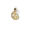 Old World Christmas Hanging Ornament - 6 Piece Assorted Sea Shell Set