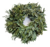 Potomac Flowers Fresh 14-16" Seeded Eucalyptus Wreath