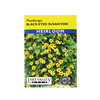 Lake Valley Seed Black Eyed Susan Vine, Thunbergia Heirloom, 0.75g