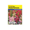 Lake Valley Seed Penstemon Dwarf Cambridge Mixed Colors Flower