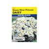 Lake Valley Seeds Daisy Shasta Silver Princess Heirloom Flower