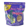 C & S Berry Flavored Wild Bird Suet Nuggets, Resealable Bag, 27 oz