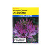 Lake Valley Seed Cleome Purple Queen Heirloom, 0.40g