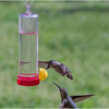 Perky-Pet Plastic Hanging Hummingbird Feeder — Single Port with Bee Guard, 3oz