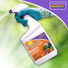 Bonide Fung-onil Multipurpose Fungicide, Ready-to-Use Garden Spray, 32oz