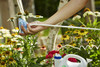 Scotts Ortho Roundup 1.33gal RTU Weed Killer