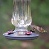 Perky Pet Starglow Vintage Glass Hummingbird Feeder, 16oz