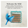 C&S EZ Fill Suet Basket — Vinyl-Coated Wire Hanging Wild Bird Feeder — Green, 5.25"